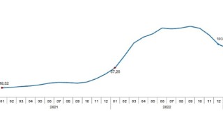 Tarımsal girdi fiyat endeksi (Tarım-GFE) yıllık %95,99, aylık %6,24 arttı