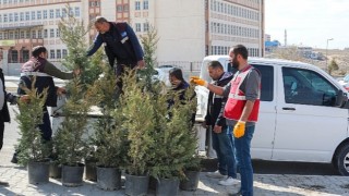 Van'da Depremde Hayatını Kaybeden Sağlıkçılar İçin Fidan Dikildi