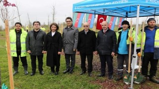 Azerbaycan ve Türkiye Kardeşliği Ormanına Haydar Aliyev'in anısına 100 fidan