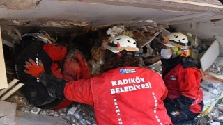 UNESCO, Kadıköy Belediyesi'nin Deprem Bölgelerindeki Çalışmalarını Dünyaya Örnek Gösterdi