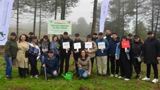 Aksigorta Hatıra Ormanı Yeşeriyor