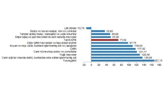 TÜİK: Tarım ürünleri üretici fiyat endeksi (Tarım-ÜFE) yıllık %71,52 arttı, aylık %2,32 azaldı