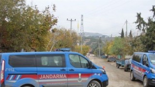 Bağ yolunda yürüyüş yapanlar buldu!