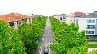 Lüleburgaz’da yeşil koridorlar artıyor!