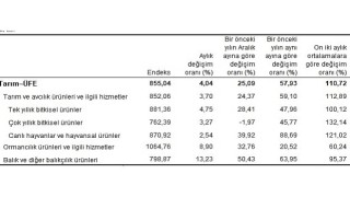 Tarım ürünleri üretici fiyat endeksi (Tarım-ÜFE) yıllık yüzde 57,93, aylık yüzde 4,04 arttı
