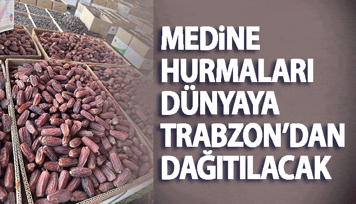 Medine Hurmaları Dünyaya Trabzon'dan Dağıtılacak