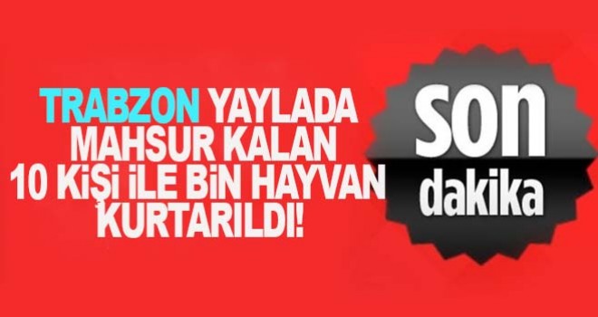 Yaylada mahsur kalan 11 kişi ile bin hayvan kurtarıldı