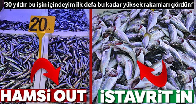 Hamsi pahalı olunca vatandaş ona yöneldi!