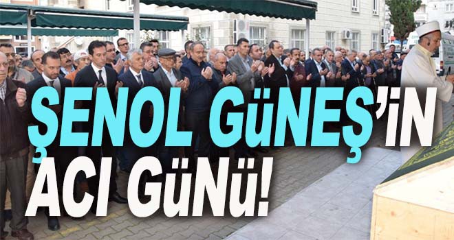 Şenol Güneş'in Acı Günü!