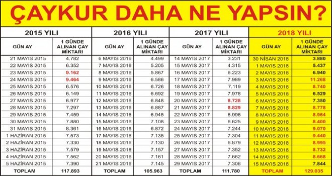ÇAYKUR’dan yaş çay alım rekoru!
