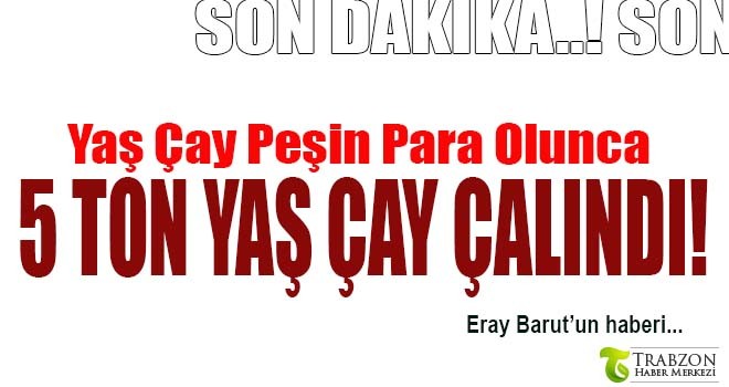 Yaş Çay Peşin Para Olunca 5 Ton Yaş Çay Çalındı