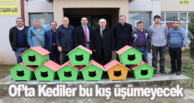 Of’ta Kediler bu kış üşümeyecek