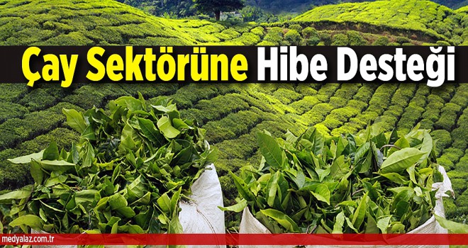 Çay Sektörüne Hibe Desteği