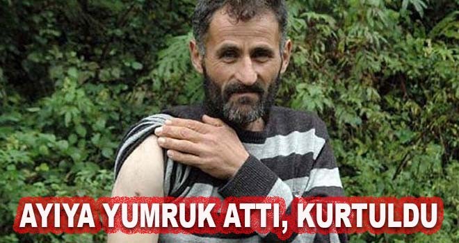Kendisine saldıran ayıya yumruk attı, kurtuldu