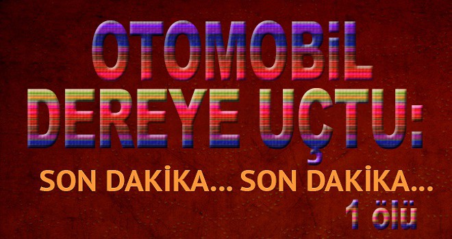 Trabzon'da otomobil dereye uçtu