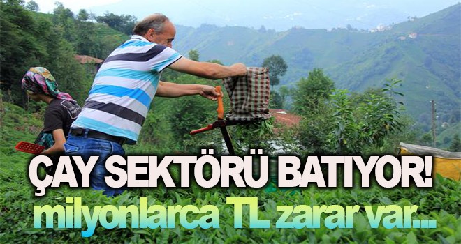 Çay Sektörü Bitiyor!