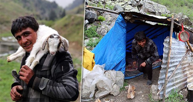 Rize'de yerli çoban bulunamadı, ithali getirdi!