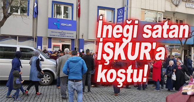 Trabzon'da ineğini satan İŞKUR'a koştu!