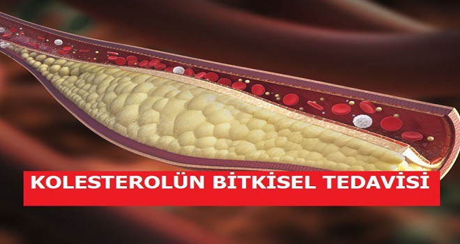 Kolestrolü Düşüren Yiyecekler