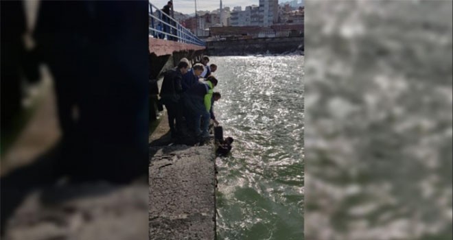 Trabzon'da lise öğrencisi intihara kalkıştı!