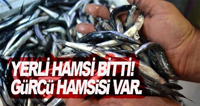 Gürcü hamsisi tezgahlarda..