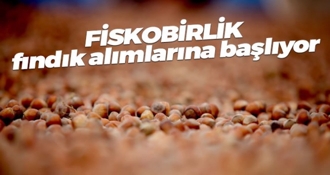 FİSKOBİRLİK yarın fındık alımlarına başlıyor