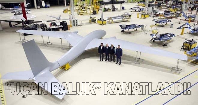 Uçan Baluk'un kanatları takıldı