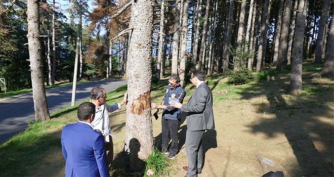 Atatürk Köşkü Ormanı için oluşturulan komisyon göreve başladı