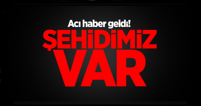 Şehidimiz var