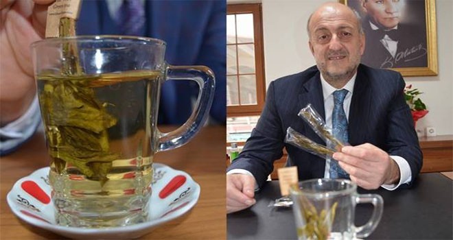 Türkiye’de ilk organik çay imalat fabrikası Of'ta