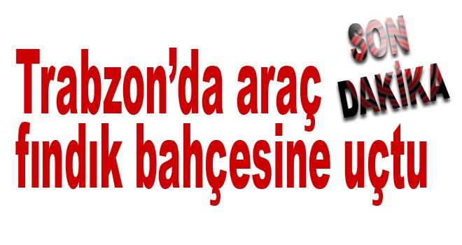 Araç fındık bahçesine uçtu