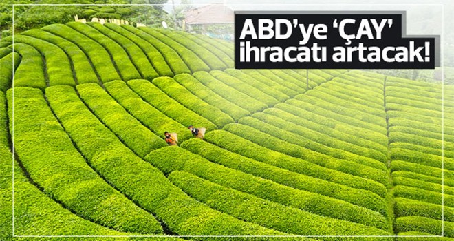 ABD'ye çay ihracatı artacak