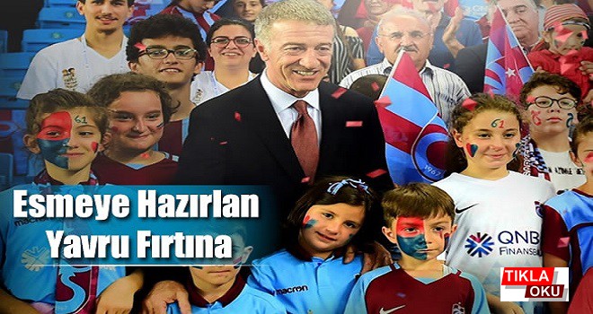 Esmeye Hazırlan Yavru Fırtına