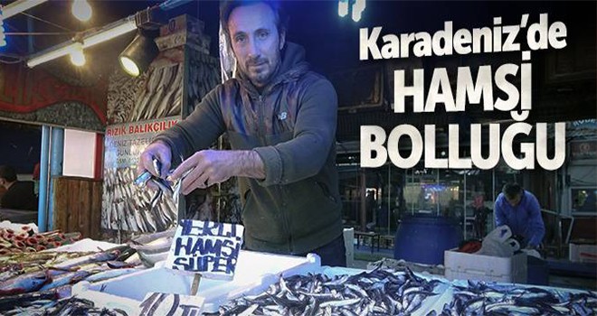 Karadeniz'de hamsi bolluğu