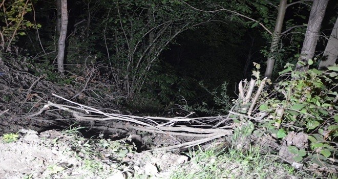 Trabzon'da otomobil uçuruma yuvarlandı