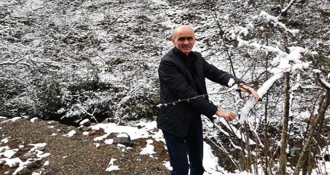 Fındık üreticisine ‘kar’ şoku