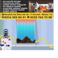 Petek Temizliği