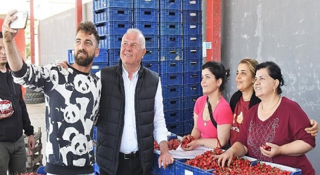 Kemalpaşa’da Kiraz Alım Merkezleri Denetleniyor
