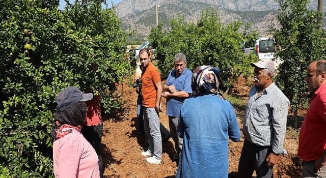 Antalya Büyükşehir’in üreticilere faydalı böcek desteği sürüyor