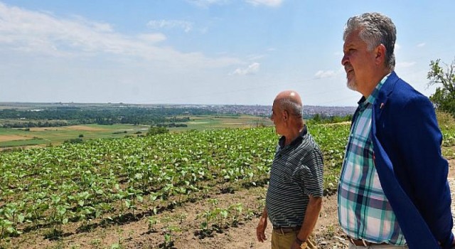 Ayçiçek yağları yıl sonunda sofralarda!.. Lüleburgaz