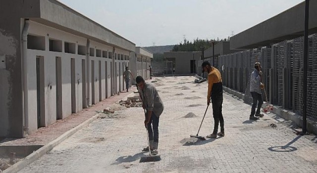 Sokak Hayvanları Geçici Bakım Evi ve Rehabilitasyon Merkezi inşaatı tamamlandı... Antalya