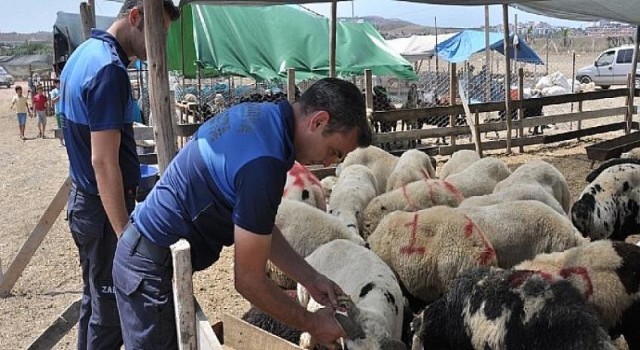 Çukurova’da kurban satış yeri denetimi