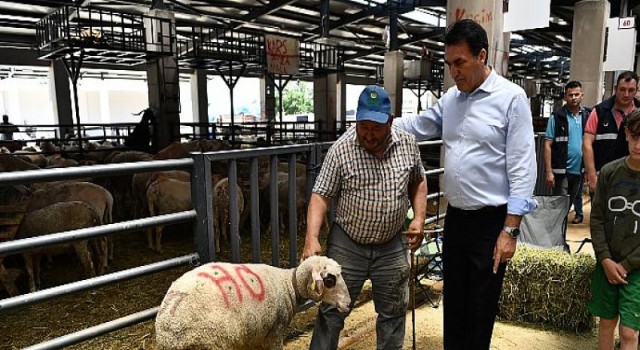 Türkiye’nin En Modern Kurban Pazarında Hareketli Günler...Osmangazi