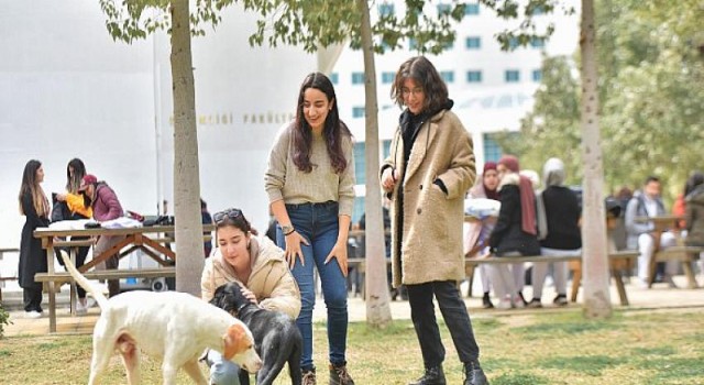 Yakın Doğu Üniversitesi’nde her 3 öğrenciden biri tam burslu!
