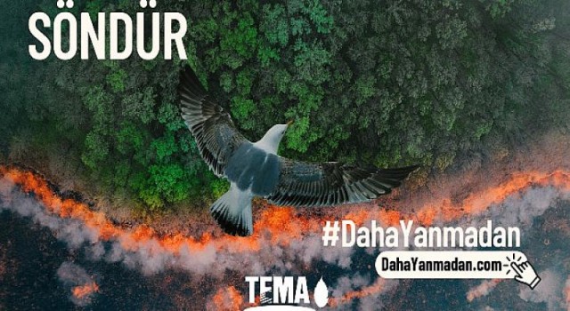 Orman Yangınlarını Önlemek Söndürmekten Daha Kolay
