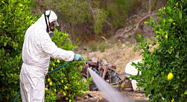 Zehirsiz Sofralar Platformu: Tarım Zehirlerinde Rekor Artış