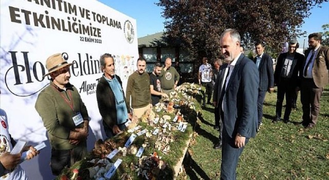 Türkiye’nin Mantar Avcıları İnegöl’de Buluştu