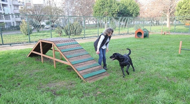Bayraklı'da evcil hayvanlar için "Pati Park"