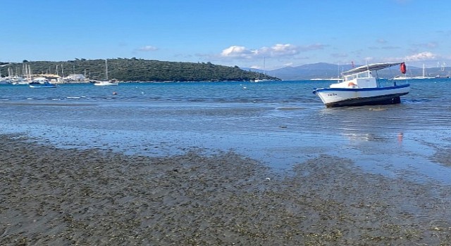 Seferihisar Belediyesi'nden Sığacık'taki deniz çekilmesi ile ilgili açıklama