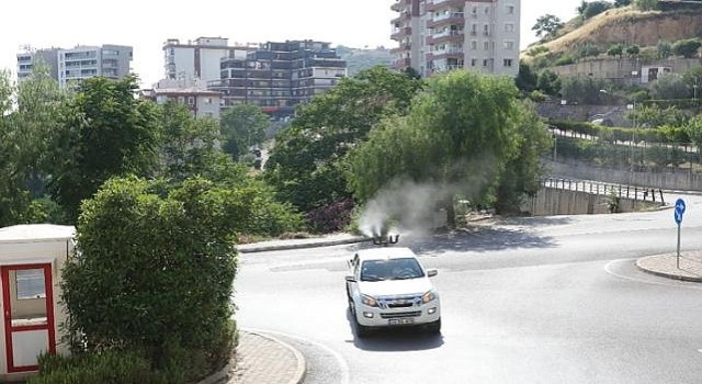Bayraklı'da ilaçlama seferberliği